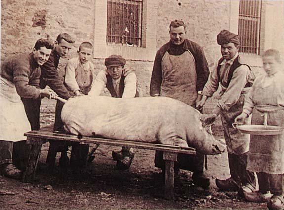 porc 1924