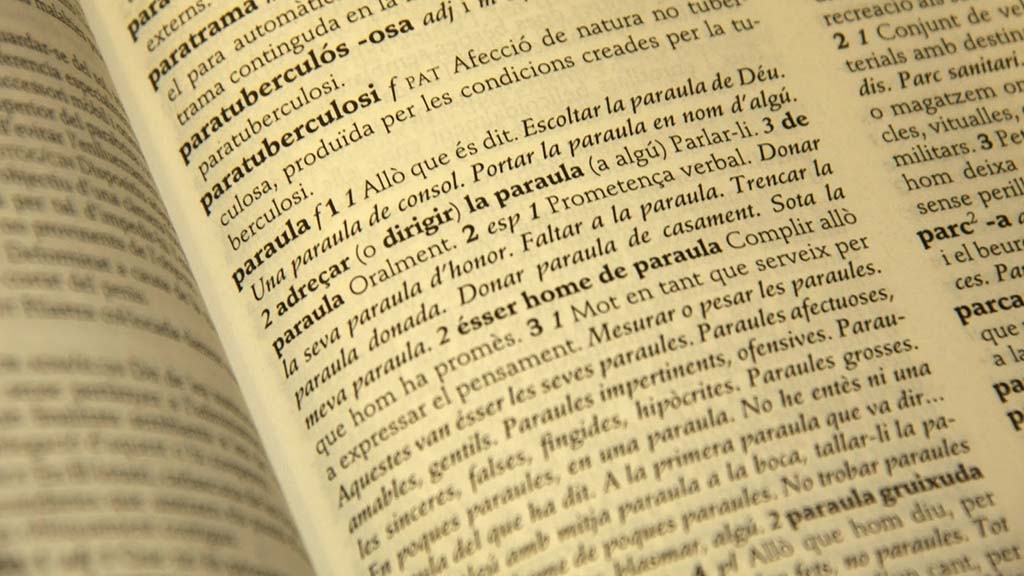 Els significats de les paraules