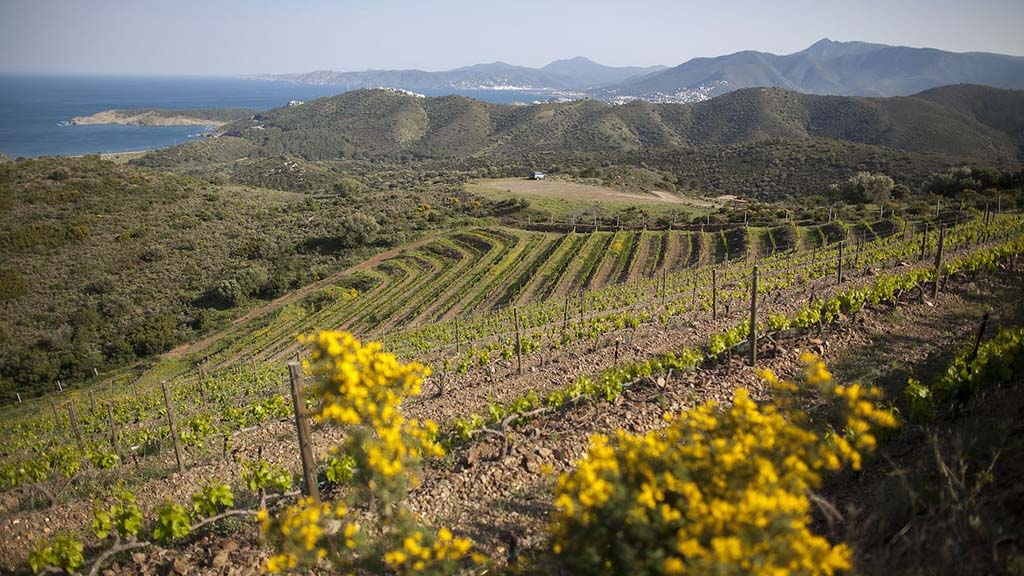 Una marca, dues comarques