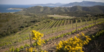 Una marca, dues comarques