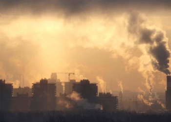 Compromís ambiental de les empreses