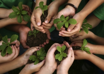 Educació i medi ambient