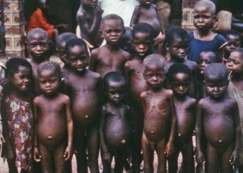 La crisi alimentària