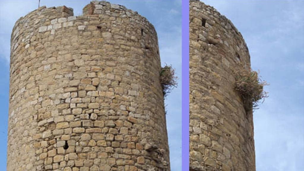 A l’aguait del nostre patrimoni