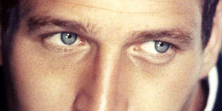 Cinema i Espectacles