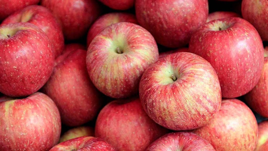 La Fira de la Poma a Ullà