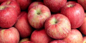 La Fira de la Poma a Ullà