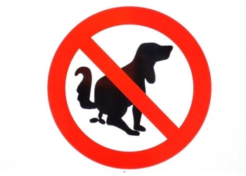 No m’agraden les tifes de gossos