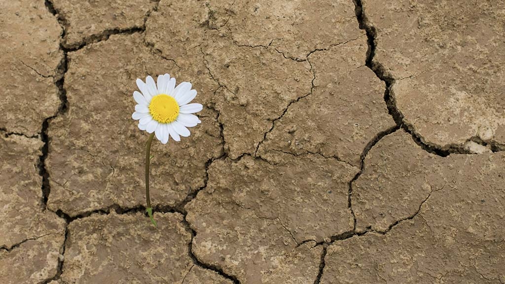 Podem aturar la bombolla ecològica?