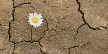 Podem aturar la bombolla ecològica?