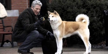 Cinema i espectacles