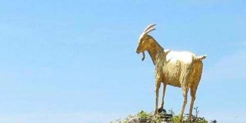 La cabra estassada i la cabra d’or
