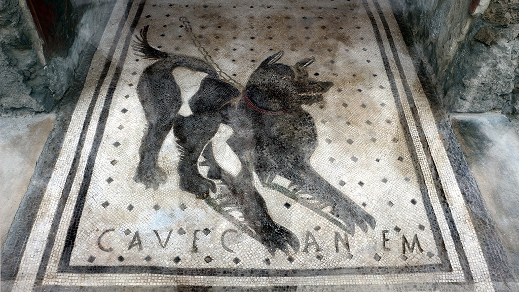 Cave Canem