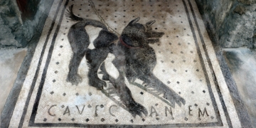 Cave Canem