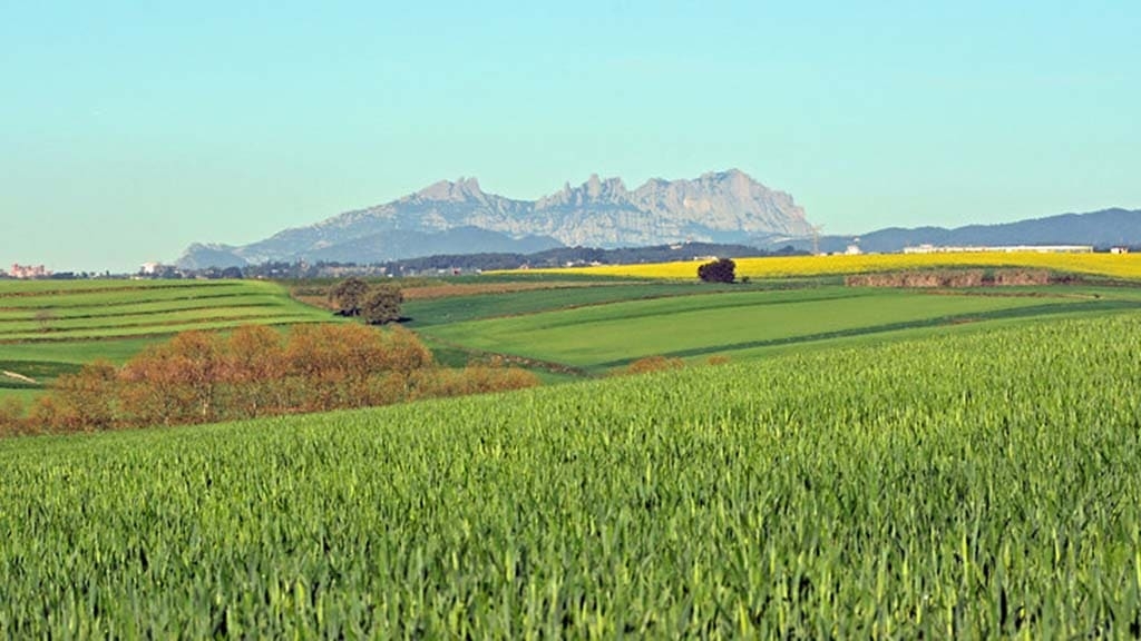 Préssecs atòmics, blat ecològic i arròs de Pals
