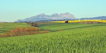 Préssecs atòmics, blat ecològic i arròs de Pals