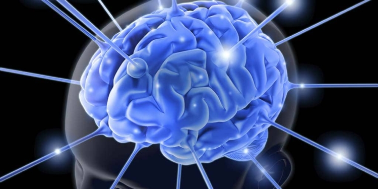 La cultura, element basic per sortir de la crisi