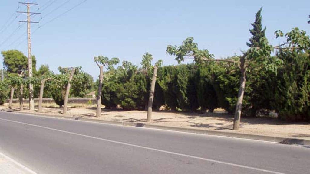 A l’aguait del nostre patrimoni