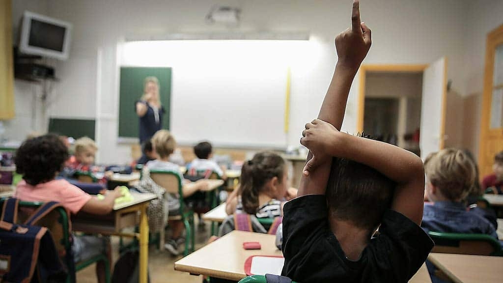 Pobres professors…!