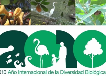 La protecció de la biodiversitat