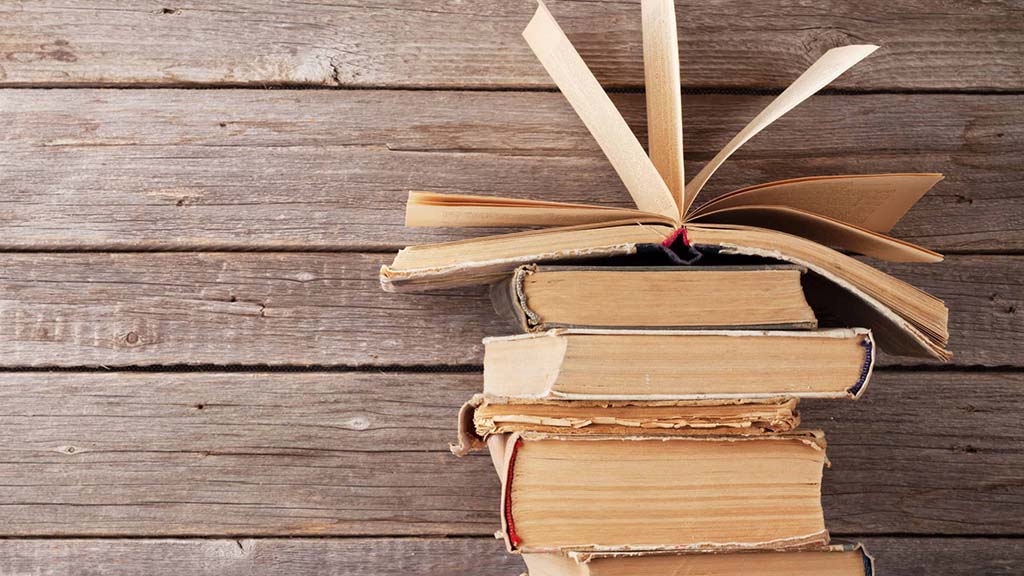 Epigrames per donar la benvinguda al nou any 2011