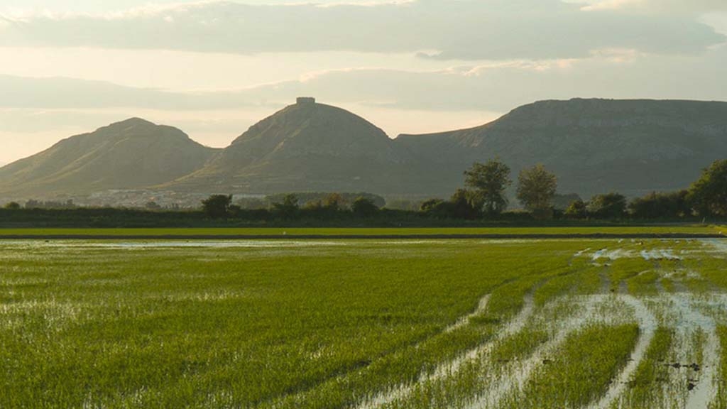 El model agrari actual i el parc natural