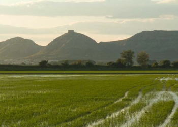 El model agrari actual i el parc natural