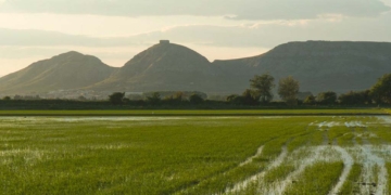 El model agrari actual i el parc natural