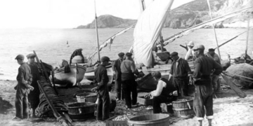 Estudis del Baix Empordà