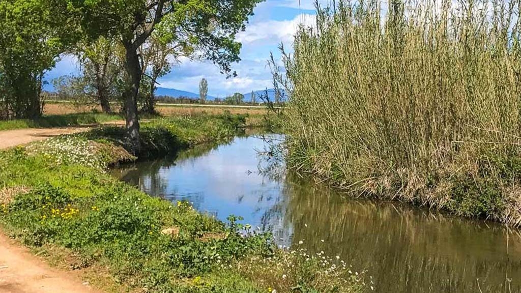 Els recs del Baix Ter: els valors