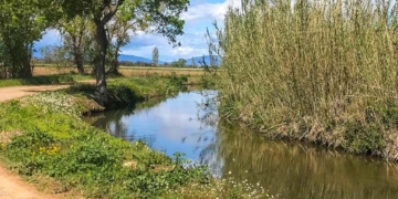 Els recs del Baix Ter: els valors