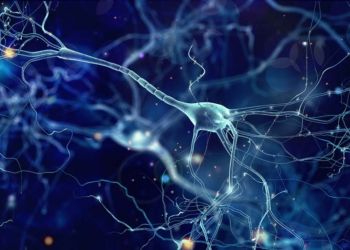 Societat Catalana de Neurologia: La celebració d’un centenari