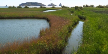 de la Gola al Ter Vell