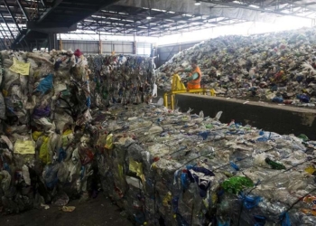 Allò que realment fa pudor