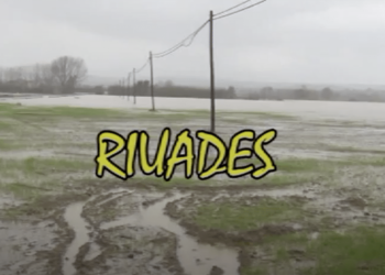Riuades