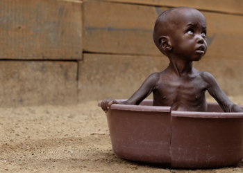 Els límits del planeta