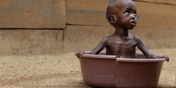 Els límits del planeta