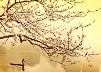 Els haikus arriben a Torroella de Montgrí per la Diada de Sant Jordi