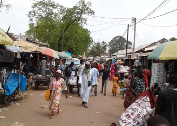 Kolda. Senegal. Aspectes econòmics