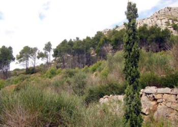 A l’aguait del nostre patrimoni