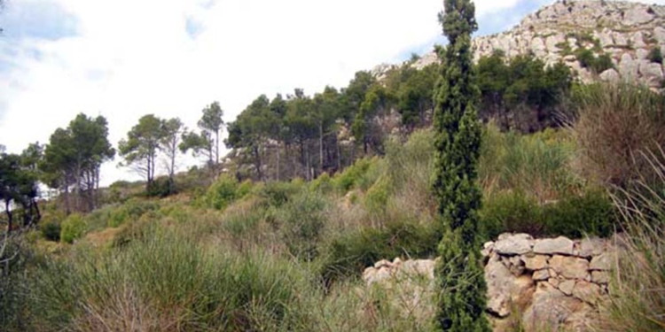 A l’aguait del nostre patrimoni