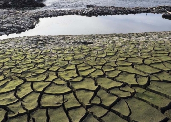 Les aigües baixen tèrboles II