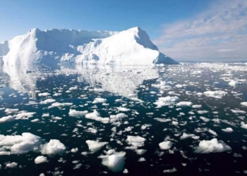 Atents als missatges del planeta