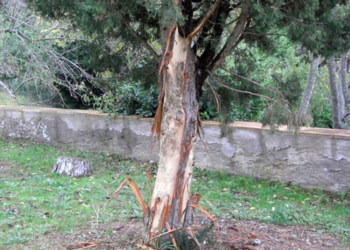 A l’aguait del nostre patrimoni