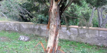 A l’aguait del nostre patrimoni