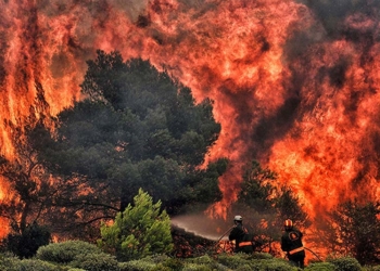 Solucions als incendis