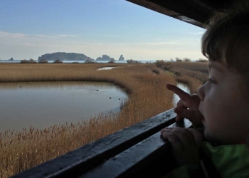 El Ter Vell, un espai a preservar