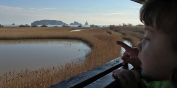 El Ter Vell, un espai a preservar