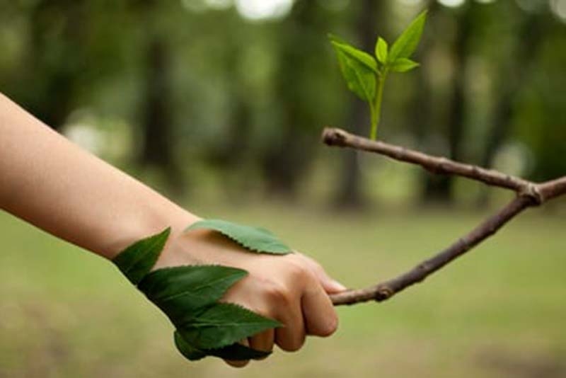 La sostenibilitat (II)