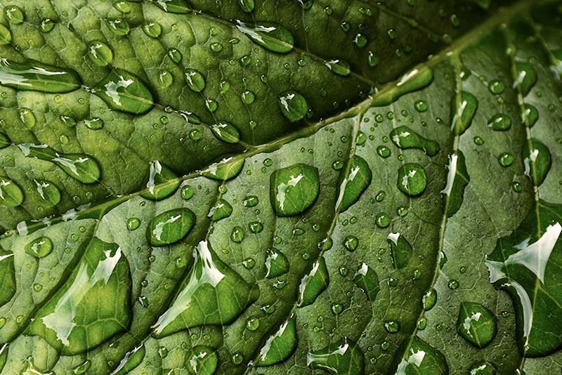 El Baix Ter i la sostenibilitat (3)